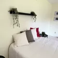 Coliving in Oakridge - West Van, Vancouver